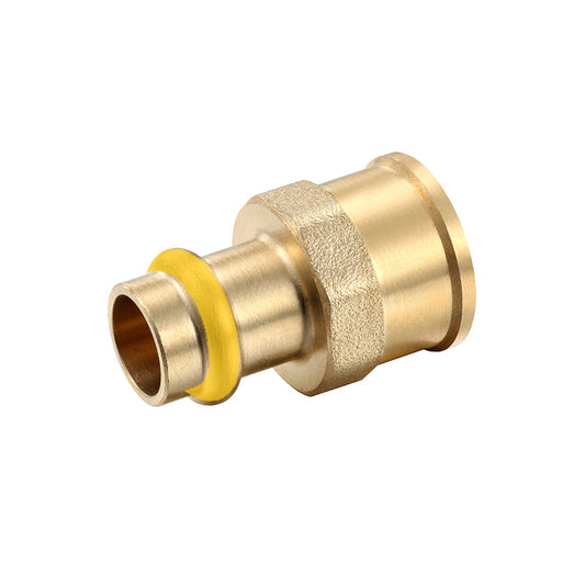 Gas Brass Coupling Fl