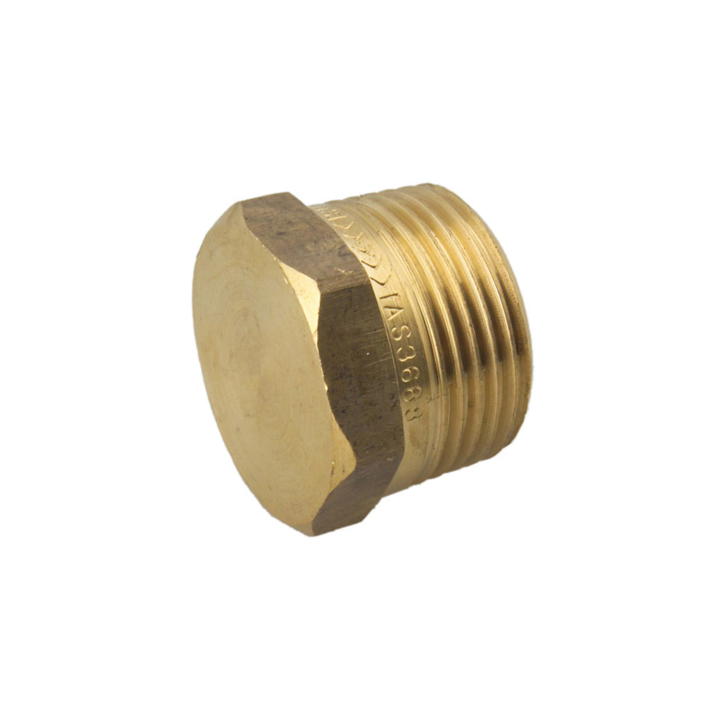 Brass Screwed Hex Plug